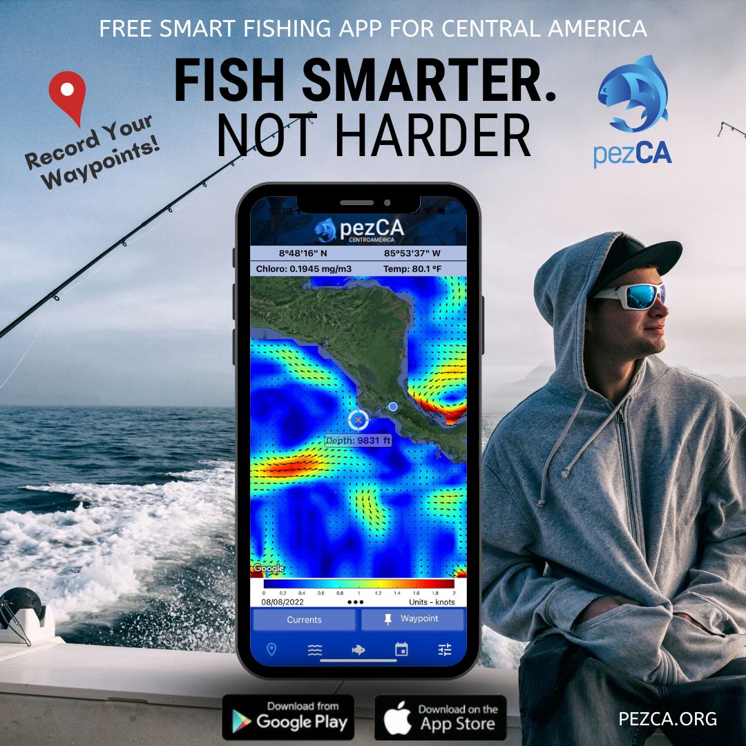 pezCA Home  Smart Fishing app by FECOP - pezCA Sport Fishing App by Fecop