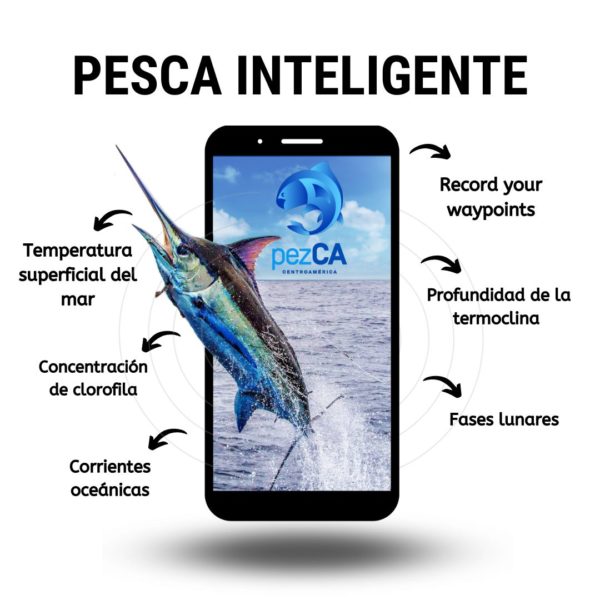 Pesca Inteligente
